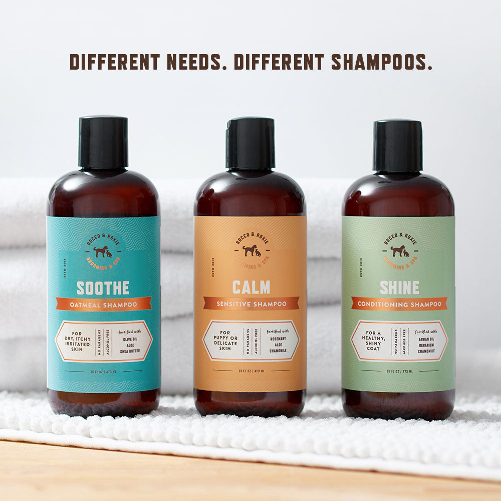 Shine Conditioning Shampoo