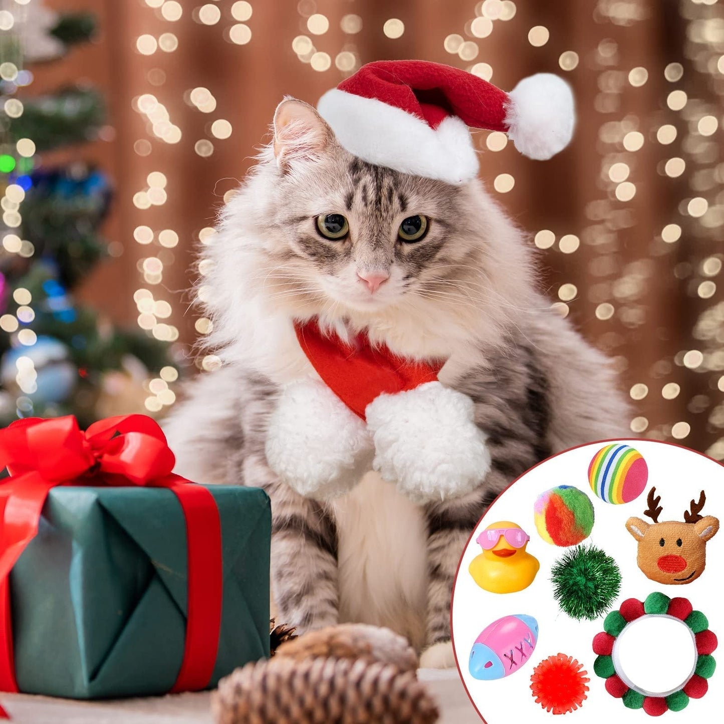 🎅Christmas Countdown Delight!🎅2025 New Cat Advent Calendar 24 Days Countdown