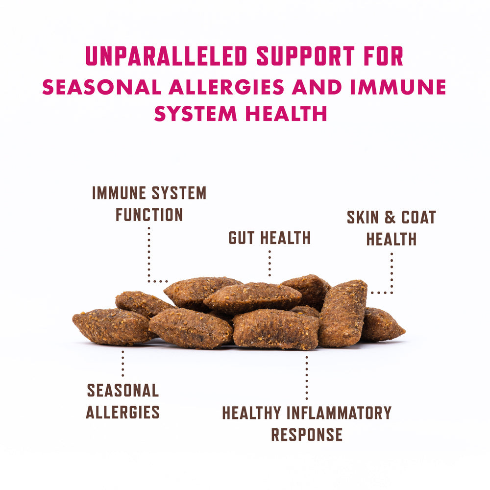 Rocco & Roxie Allergy Support for Cats