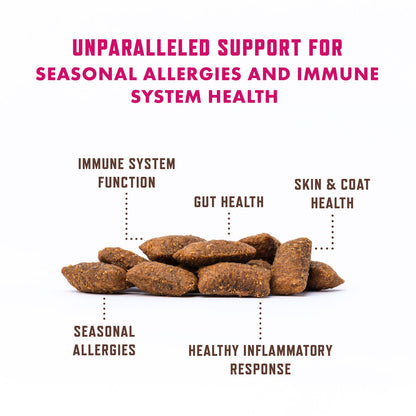 Rocco & Roxie Allergy Support for Cats