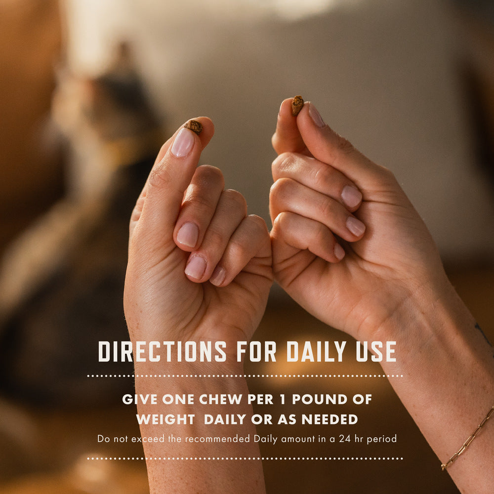 Rocco & Roxie Cat Probiotic Health Supplement